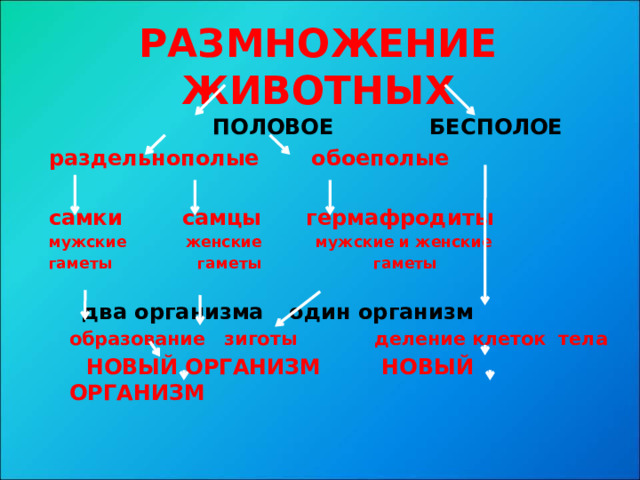 РАЗМНОЖЕНИЕ ЖИВОТНЫХ  ПОЛОВОЕ    БЕСПОЛОЕ раздельнополые обоеполые  самки самцы гермафродиты мужские женские мужские и женские гаметы гаметы гаметы     два организма    один организм   образование зиготы  деление клеток тела  НОВЫЙ ОРГАНИЗМ   НОВЫЙ ОРГАНИЗМ 
