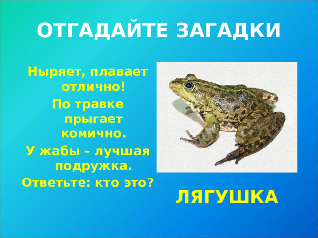 ОТГАДАЙТЕ ЗАГАДКИ Ныряет, плавает отлично! По травке прыгает комично. У жабы – лучшая подружка. Ответьте: кто это? ЛЯГУШКА 