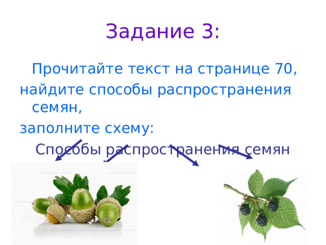 Задание 3:  Прочитайте текст на странице 70, найдите способы распространения семян, заполните схему: Способы распространения семян 
