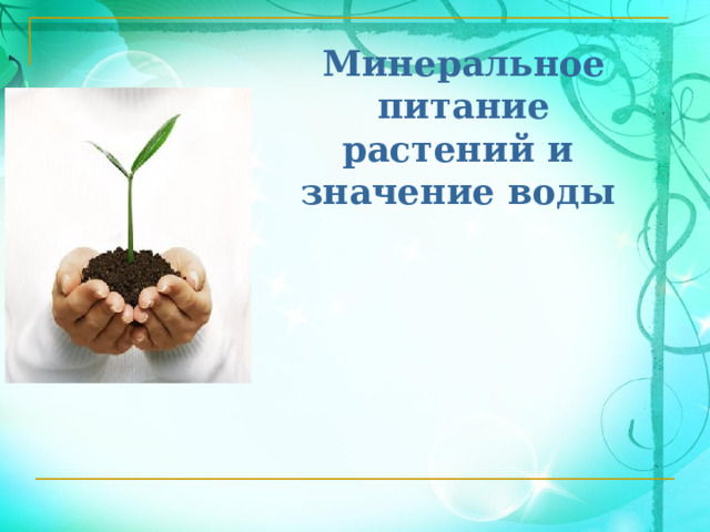Минеральное питание растений и значение воды 