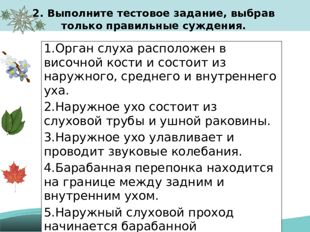 2. Выполните тестовое задание, выбрав только правильные суждения. 1.Орган слуха расположен в височной кости и состоит из наружного, среднего и внутреннего уха. 2.Наружное ухо состоит из слуховой трубы и ушной раковины. 3.Наружное ухо улавливает и проводит звуковые колебания. 4.Барабанная перепонка находится на границе между задним и внутренним ухом. 5.Наружный слуховой проход начинается барабанной перепонкой. 