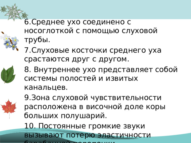 6.Среднее ухо соединено с носоглоткой с помощью слуховой трубы. 7.Слуховые косточки среднего уха срастаются друг с другом. 8. Внутреннее ухо представляет собой системы полостей и извитых канальцев. 9.Зона слуховой чувствительности расположена в височной доле коры больших полушарий. 10. Постоянные громкие звуки вызывают потерю эластичности барабанной перепонки. 