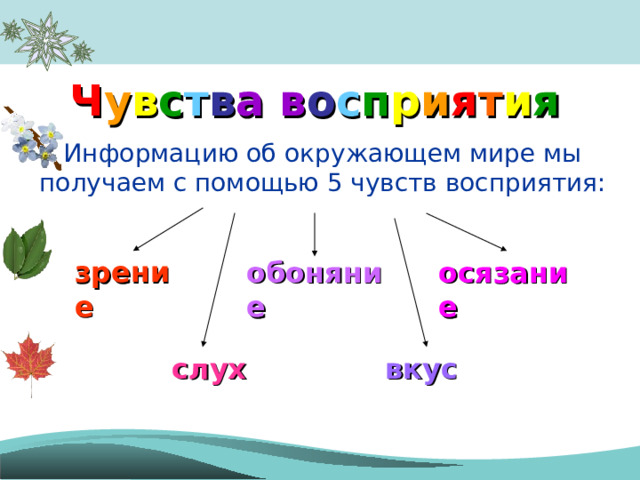 Ч у в с т в а  в о с п р и я т и я Информацию об окружающем мире мы получаем с помощью 5 чувств восприятия: зрение обоняние осязание слух вкус 