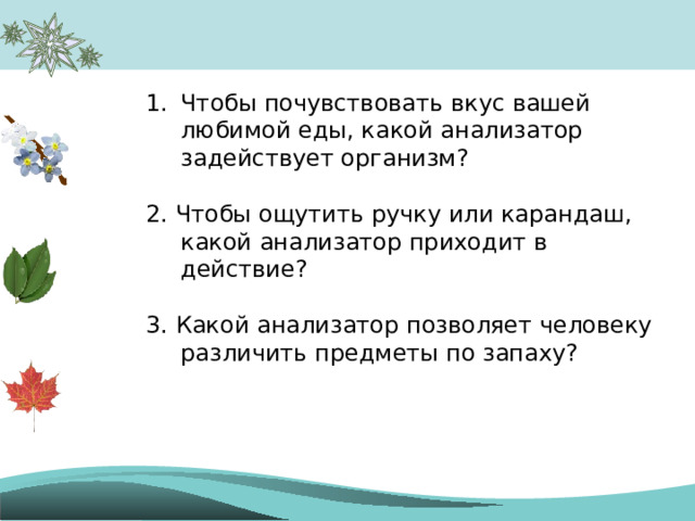 Чтобы почувствовать вкус вашей любимой еды, какой анализатор задействует организм?  2. Чтобы ощутить ручку или карандаш, какой анализатор приходит в действие? 3. Какой анализатор позволяет человеку различить предметы по запаху? 