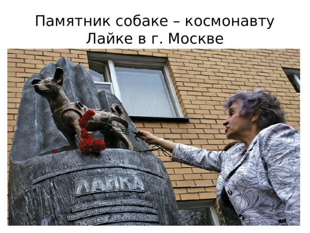 Памятник собаке – космонавту Лайке в г. Москве 