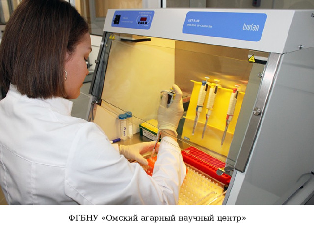 ФГБНУ «Омский агарный научный центр» 