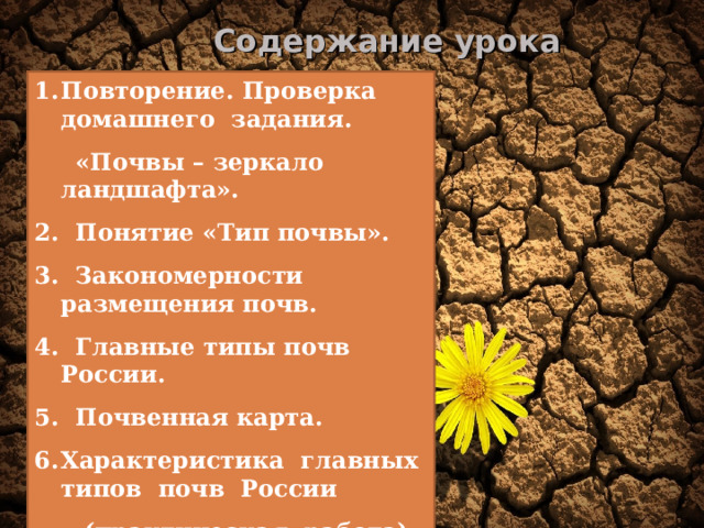 Содержание урока Повторение. Проверка домашнего задания.  «Почвы – зеркало ландшафта». 2. Понятие «Тип почвы». 3. Закономерности размещения почв. 4. Главные типы почв России. 5. Почвенная карта. Характеристика главных типов почв России  (практическая работа). 