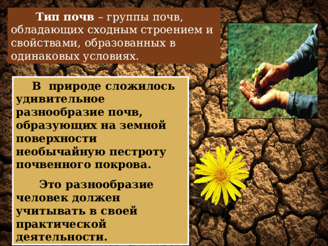  Тип почв – группы почв, обладающих сходным строением и свойствами, образованных в одинаковых условиях.  В природе сложилось удивительное разнообразие почв, образующих на земной поверхности необычайную пестроту почвенного покрова.  Это разнообразие человек должен учитывать в своей практической деятельности. 