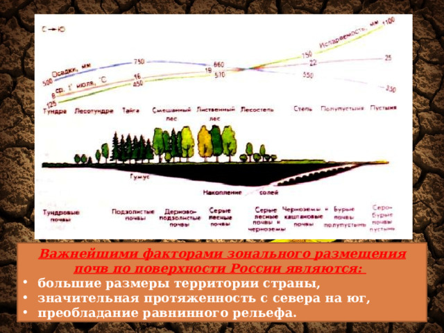 Важнейшими факторами зонального размещения почв по поверхности России являются:   большие размеры территории страны,  значительная протяженность с севера на юг,  преобладание равнинного рельефа. 