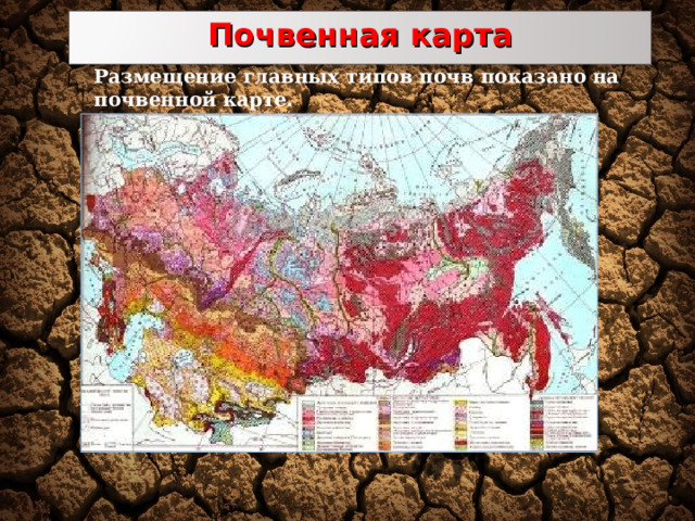 Почвенная карта Размещение главных типов почв показано на почвенной карте. 