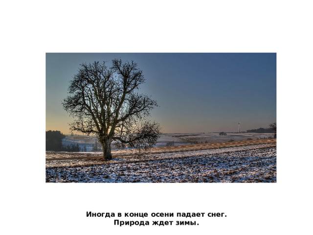 Иногда в конце осени падает снег.  Природа ждет зимы. 