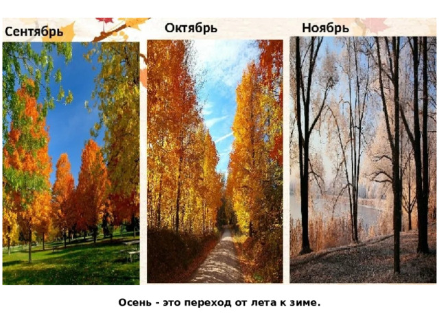 Осень - это переход от лета к зиме. 
