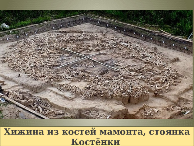 Хижина из костей мамонта, стоянка Костёнки 