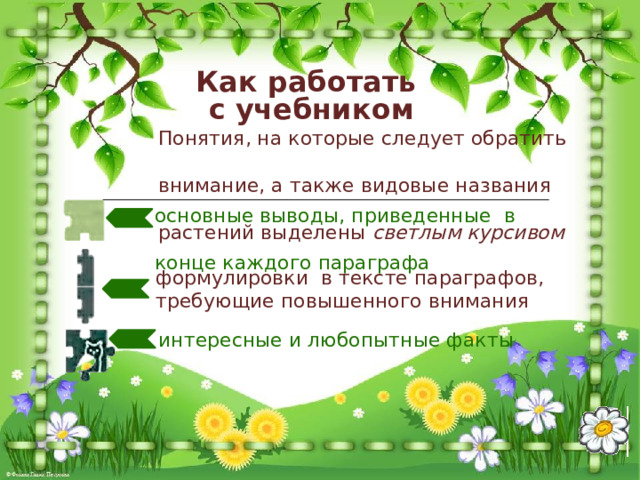 Как работать с учебником  Понятия, на которые следует обратить  внимание, а также видовые названия  растений выделены светлым курсивом  основные выводы, приведенные в  конце каждого параграфа формулировки в тексте параграфов, требующие повышенного внимания  интересные и любопытные факты 