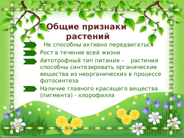 Общие признаки  растений   Не способны активно передвигаться   Рост в течение всей жизни   Автотрофный тип питания –  растения   способны синтезировать органические   вещества из неорганических в процессе   фотосинтеза   Наличие главного красящего вещества   (пигмента) - хлорофилла  