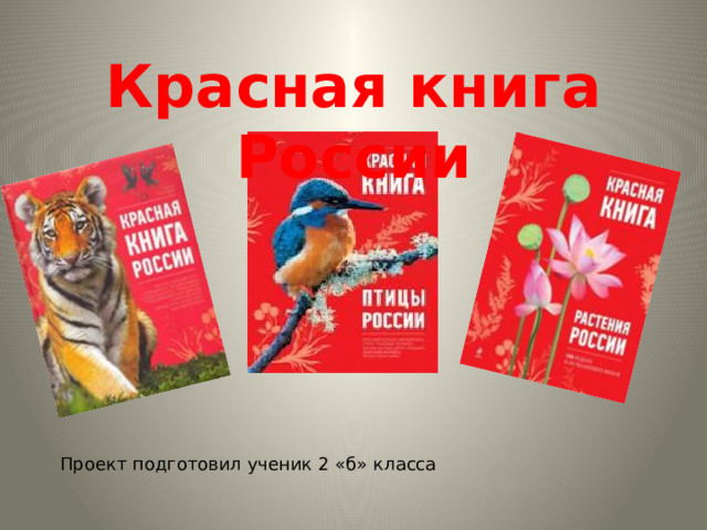 Красная книга России Проект подготовил ученик 2 «б» класса 