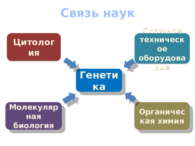 Связь наук Цитология Сложное техническое оборудование Генетика Молекулярная биология Органическая химия 