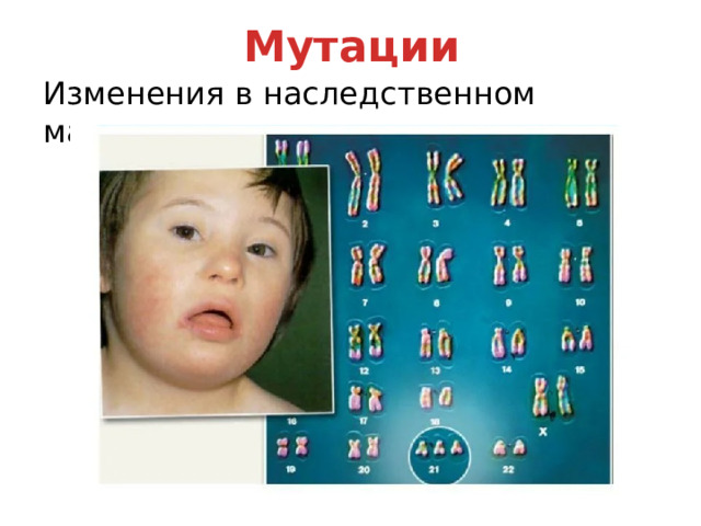 Мутации Изменения в наследственном материале 