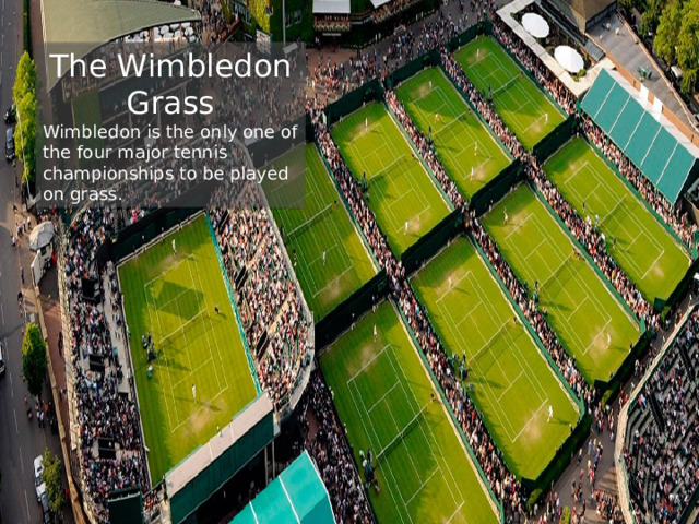The Wimbledon Grass Wimbledon is the only one of the four major tennis championships to be played on grass. 