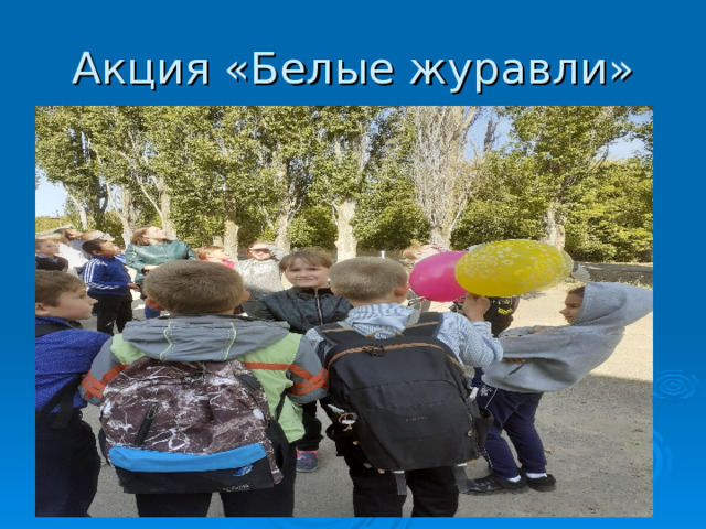 Акция «Белые журавли» 