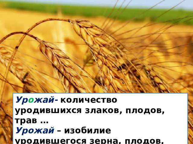 Ур о жай- количество уродившихся злаков, плодов, трав … Урожай – изобилие уродившегося зерна, плодов, трав. 