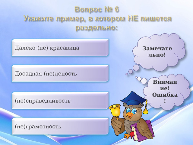 Замечательно! Далеко (не) красавица Досадная (не)лепость Внимание!Ошибка! (не)справедливость (не)грамотность 