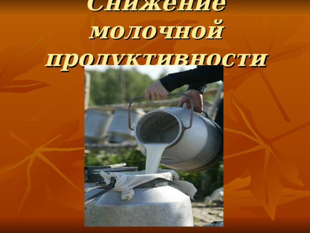 Снижение молочной продуктивности 