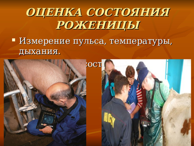 ОЦЕНКА СОСТОЯНИЯ РОЖЕНИЦЫ Измерение пульса, температуры, дыхания. Определение состояния её родовых путей 