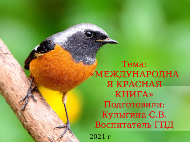 Тема: «МЕЖДУНАРОДНАЯ КРАСНАЯ КНИГА» Подготовили: Кулыгина С.В. Воспитатель ГПД 2021 г 