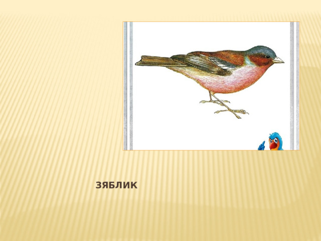 ЗЯБЛИК 