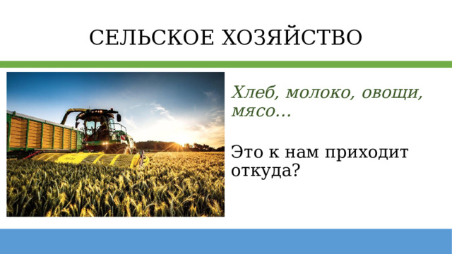 СЕЛЬСКОЕ ХОЗЯЙСТВО Хлеб, молоко, овощи, мясо…   Это к нам приходит откуда? 