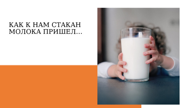 КАК К НАМ СТАКАН МОЛОКА ПРИШЕЛ… 
