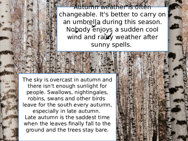 Autumn weather is often changeable. It's better to carry on an umbrella during this season. Nobody enjoys a sudden cool wind and rainy weather after sunny spells. The sky is overcast in autumn and there isn't enough sunlight for people. Swallows, nightingales, robins, swans and other birds leave for the south every autumn, especially in late autumn. Late autumn is the saddest time when the leaves finally fall to the ground and the trees stay bare. 