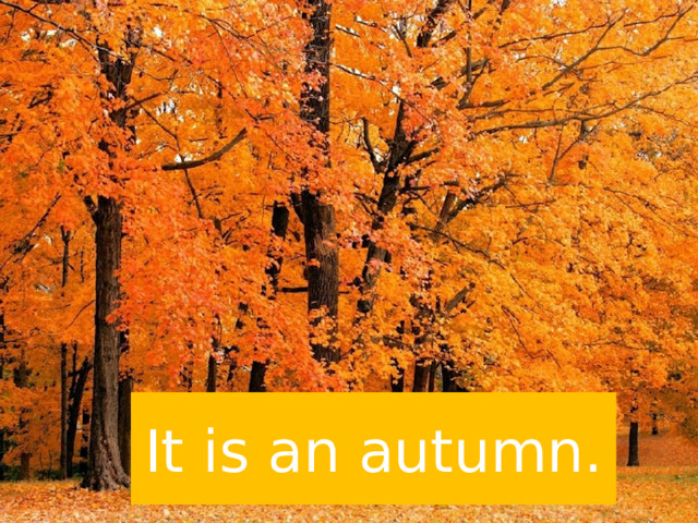 It is an autumn. 