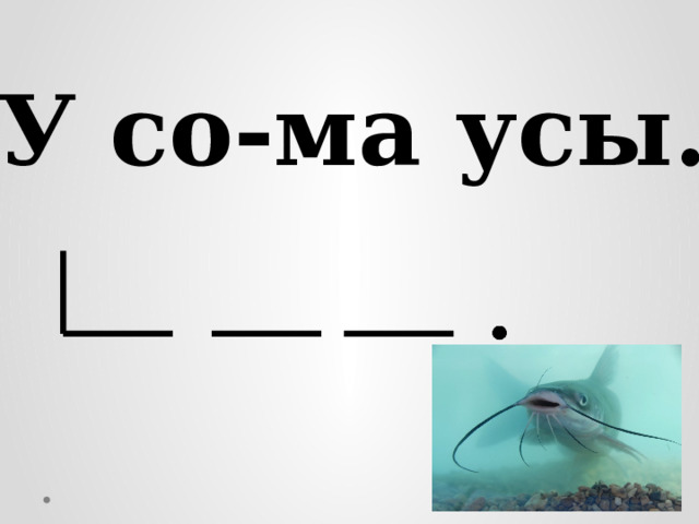 У со-ма усы. 