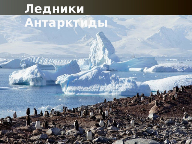 Ледники Антарктиды 