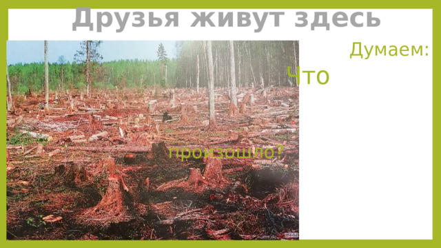 Друзья живут здесь   Думаем:   Что   произошло? 