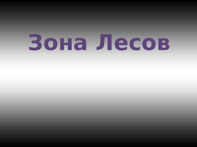 Зона Лесов 