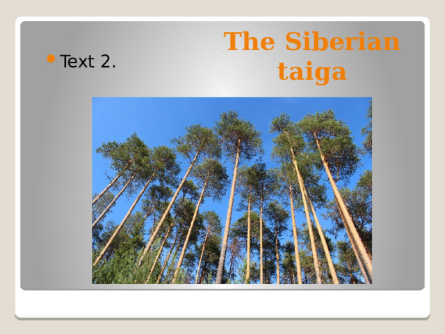 The Siberian taiga Text 2. 