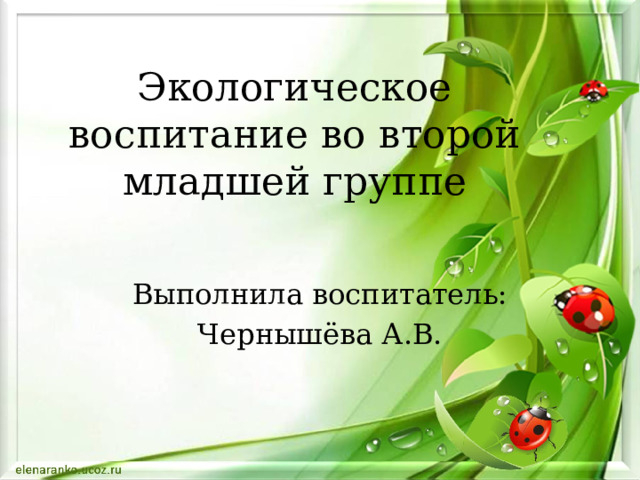 Экологическое воспитание во второй младшей группе Выполнила воспитатель: Чернышёва А.В. 