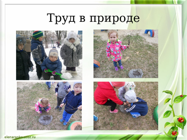 Труд в природе 