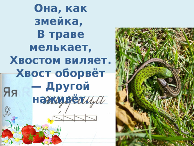 Она, как змейка, В траве мелькает, Хвостом виляет. Хвост оборвёт — Другой наживёт. 