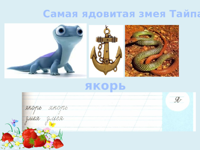 Самая ядовитая змея Тайпан якорь 