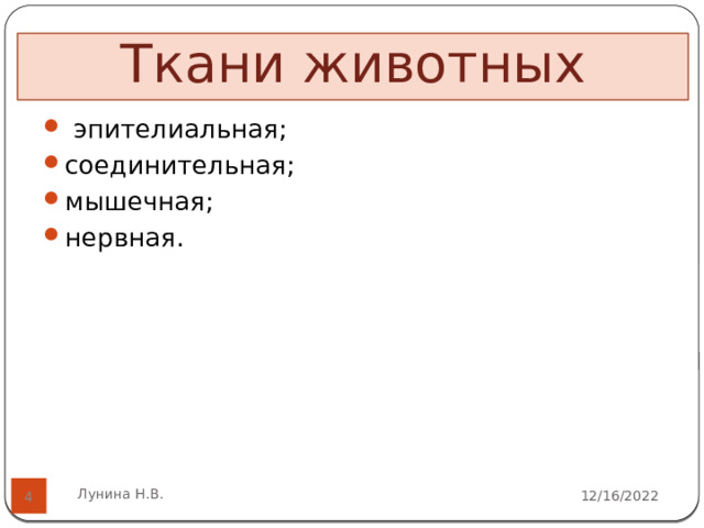 Ткани животных  эпителиальная; соединительная; мышечная; нервная.   Лунина Н.В. 12/16/2022  