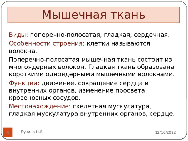 Мышечная ткань  Виды: поперечно-полосатая, гладкая, сердечная.  Особенности строения: клетки называются волокна. Поперечно-полосатая мышечная ткань состоит из многоядерных волокон. Гладкая ткань образована короткими одноядерными мышечными волокнами. Функции: движение, сокращение сердца и внутренних органов, изменение просвета кровеносных сосудов. Местонахождение: скелетная мускулатура, гладкая мускулатура внутренних органов, сердце. Лунина Н.В. 12/16/2022  