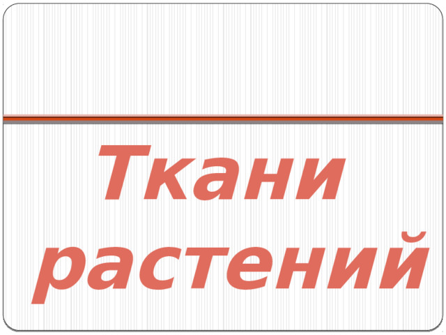 Ткани растений 