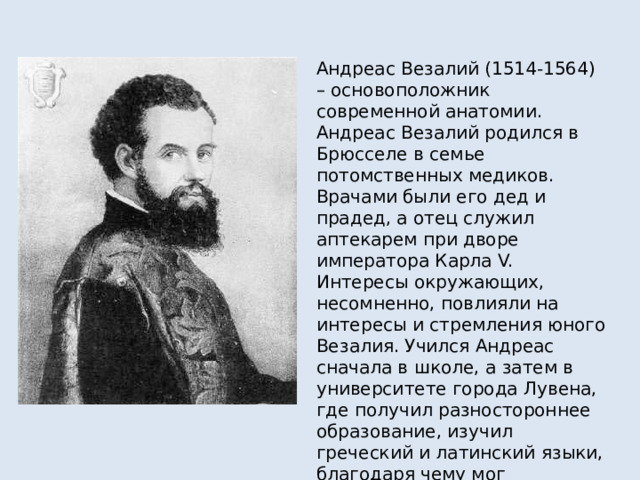 Андреас Везалий (1514-1564) – основоположник современной анатомии. Андреас Везалий родился в Брюсселе в семье потомственных медиков. Врачами были его дед и прадед, а отец служил аптекарем при дворе императора Карла V. Интересы окружающих, несомненно, повлияли на интересы и стремления юного Везалия. Учился Андреас сначала в школе, а затем в университете города Лувена, где получил разностороннее образование, изучил греческий и латинский языки, благодаря чему мог знакомиться с трудами ученых уже в юные годы. 