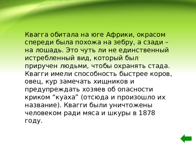 Квагга обитала на юге Африки, окрасом спереди была похожа на зебру, а сзади – на лошадь. Это чуть ли не единственный истребленный вид, который был приручен людьми, чтобы охранять стада. Квагги имели способность быстрее коров, овец, кур замечать хищников и предупреждать хозяев об опасности криком “куаха” (отсюда и произошло их название). Квагги были уничтожены человеком ради мяса и шкуры в 1878 году. 