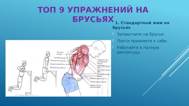 ТОП 9 УПРАЖНЕНИЙ НА БРУСЬЯХ  1. Стандартный жим на брусьях Запрыгните на брусья. Локти прижмите к себе. Работайте в полную амплитуду. 