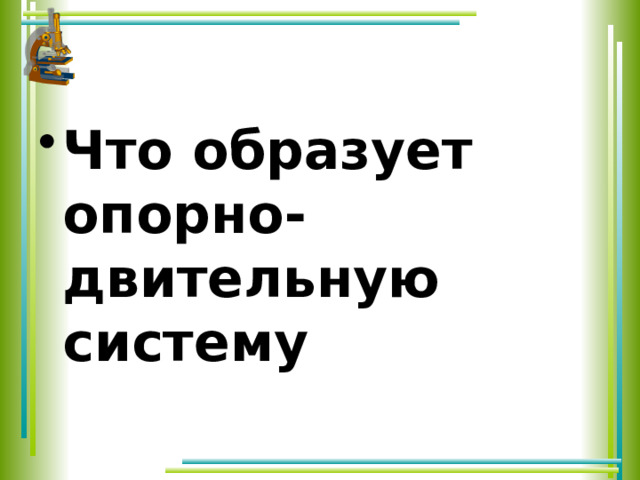 Что образует опорно-двительную систему 